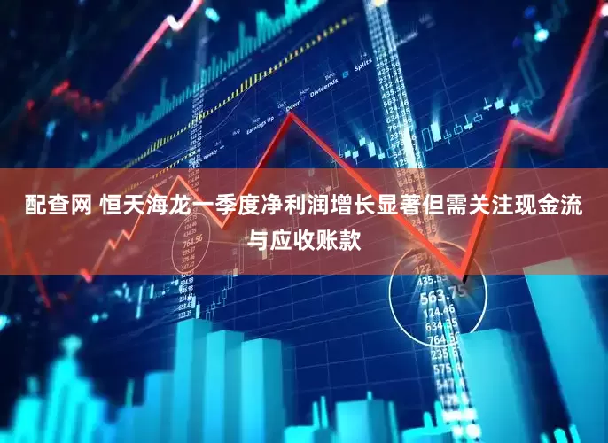 配查网 恒天海龙一季度净利润增长显著但需关注现金流与应收账款
