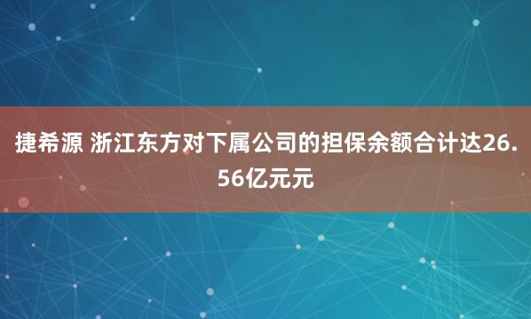 捷希源 浙江东方对下属公司的担保余额合计达26.56亿元元