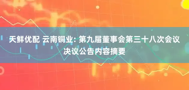 天鲜优配 云南铜业: 第九届董事会第三十八次会议决议公告内容摘要