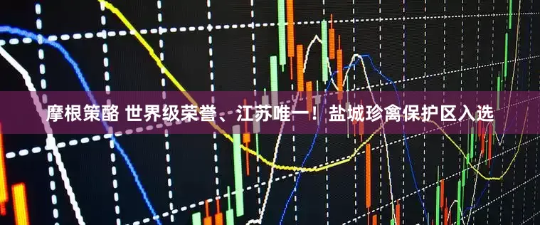 摩根策酪 世界级荣誉、江苏唯一！盐城珍禽保护区入选